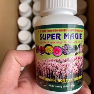 Super magie tăng chất diệp lục cho lá hoa lan cây cảnh
