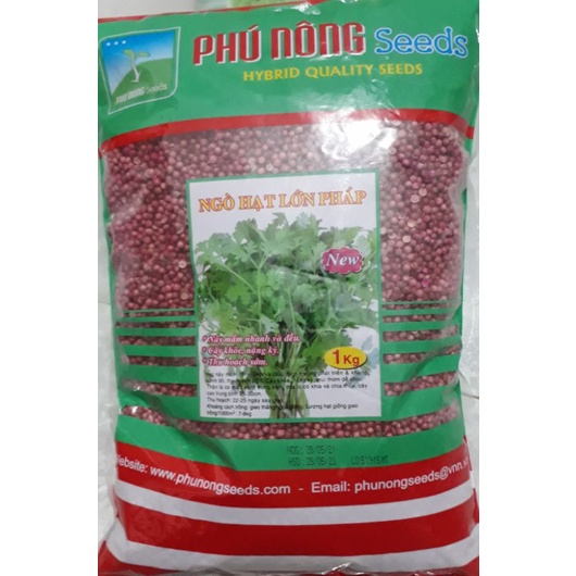 Hạt giống Ngò rí  hạt lớn Pháp gói to 1kg của Phú Nông