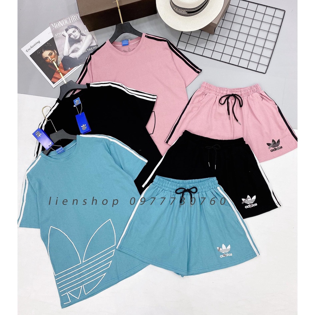 BỘ COTTON ĐÙI PHỐI 3 LÁ HÔNG ÁO BẢNG 4 MÀU CHO NỮ ...