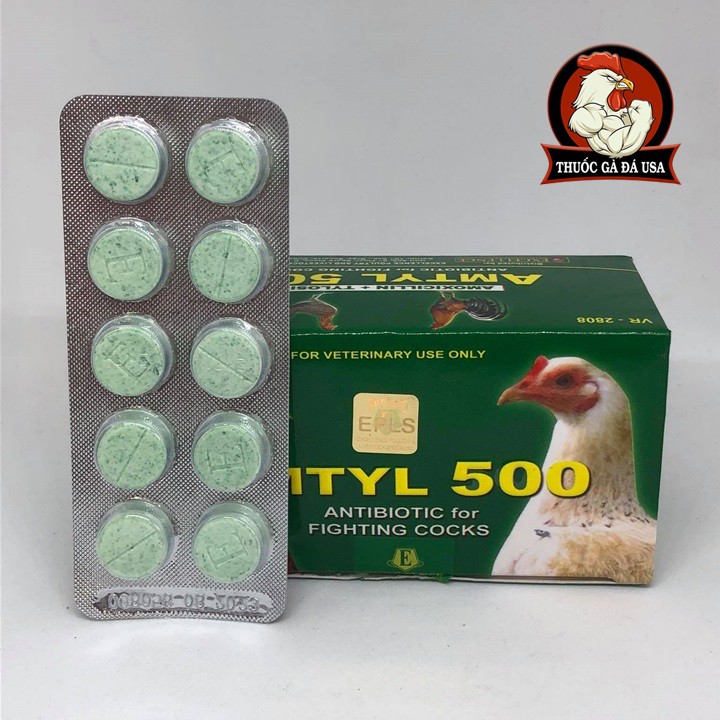 AMTYL 500 CHO GÀ ĐÁ - HỘP X 100 Viên Và Lẻ
