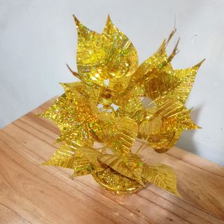 Cây lá bồ đề tài lộc