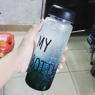 Bình mybottle,gấu vịt