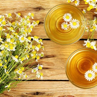(HCM) CHIẾT XUẤT CÚC LA MÃ HỮU CƠ