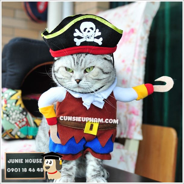 Quần áo hóa trang cướp biển cho chó mèo