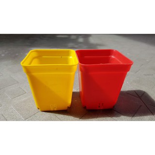 Chậu vuông 7x7 nhiều màu .
