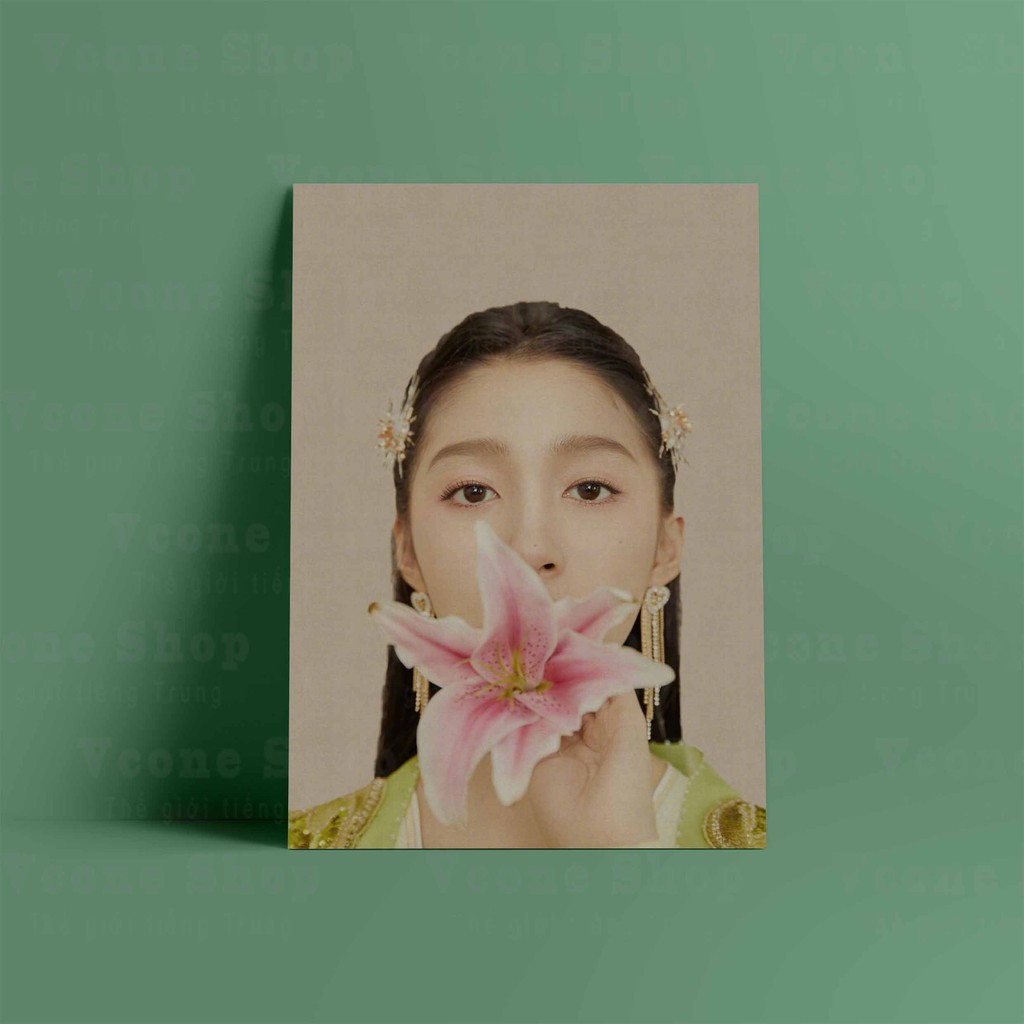 (38 mẫu) Tấm Postcard giấy 260gsm cao cấp in hình QUAN HIỂU ĐỒNG A5 thần tượng diễn viên ảnh đẹp nhiều mẫu