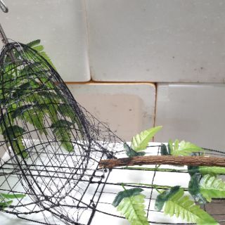 Lồng bẫy chim cu số 3