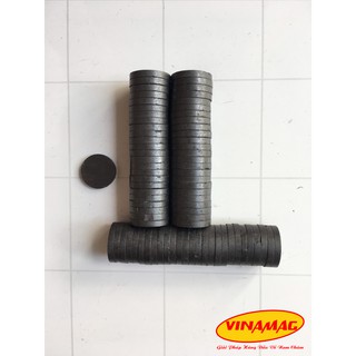 20x3mm nam châm Ferrite, nam châm đen
