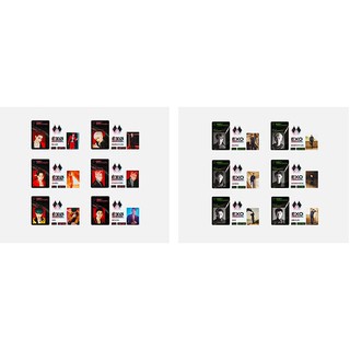{SM official ~ Có sẵn} EXO Obsession goods: ID card & deco sticker set / Chia thành viên