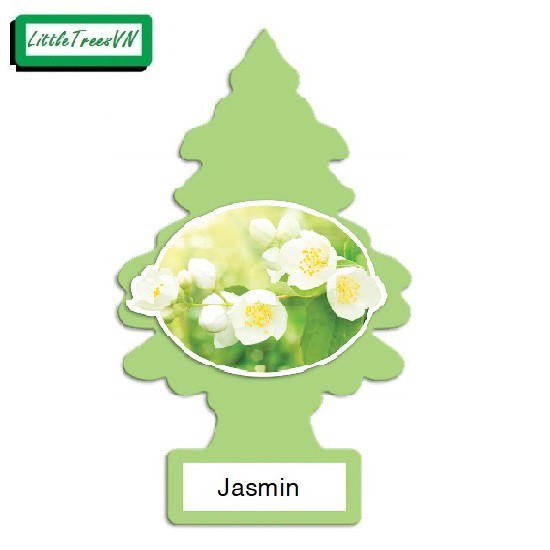 CÂY THÔNG THƠM LITTLE TREES - Jasmin (hương hoa nhài)