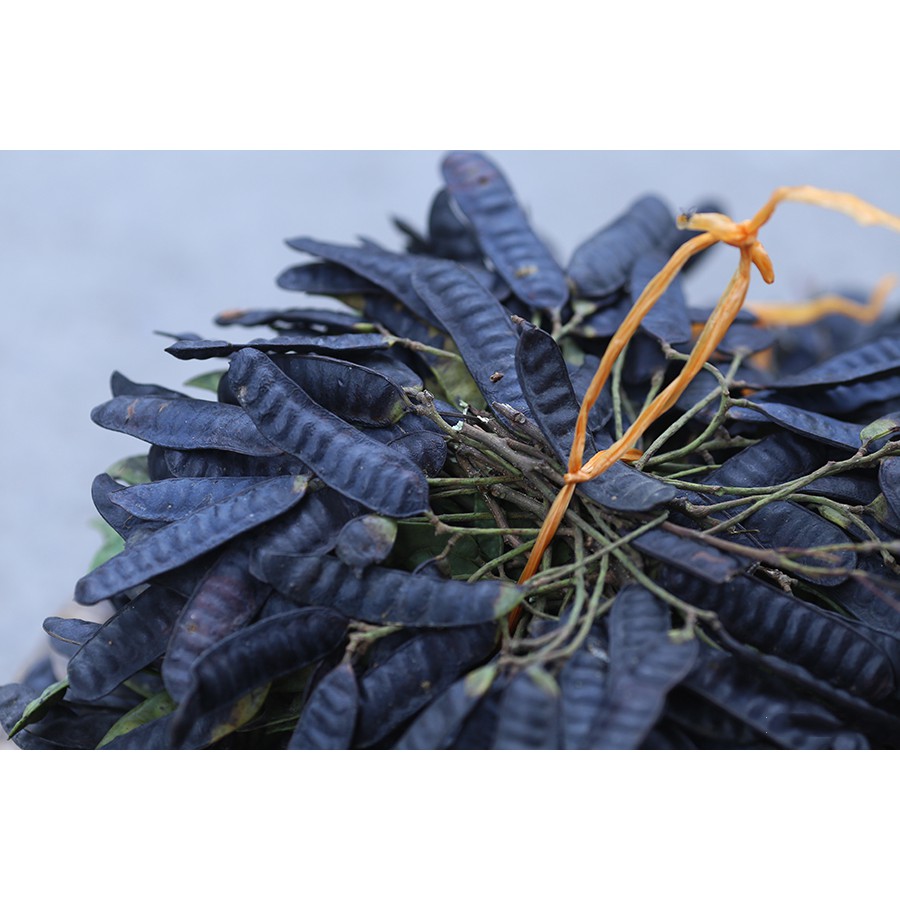 DẦU XẢ DẦU DỪA - HƯƠNG NHU MỘC NHU