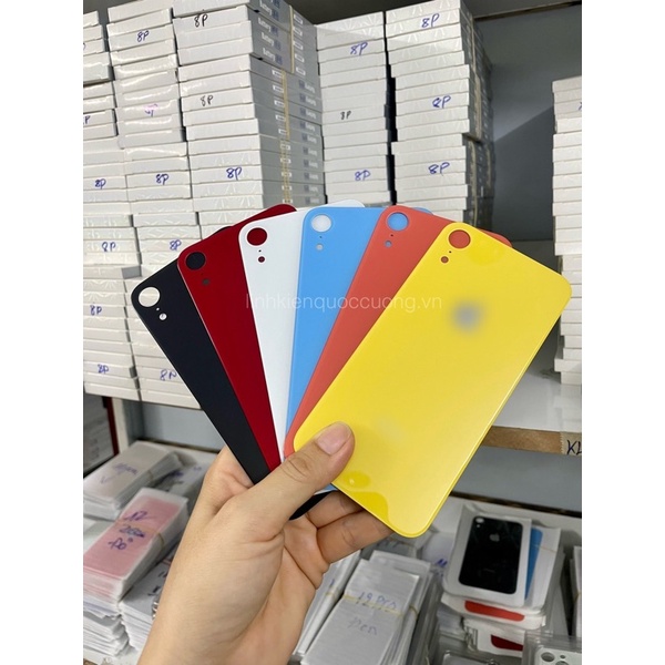 Kính lưng X-R đủ màu
