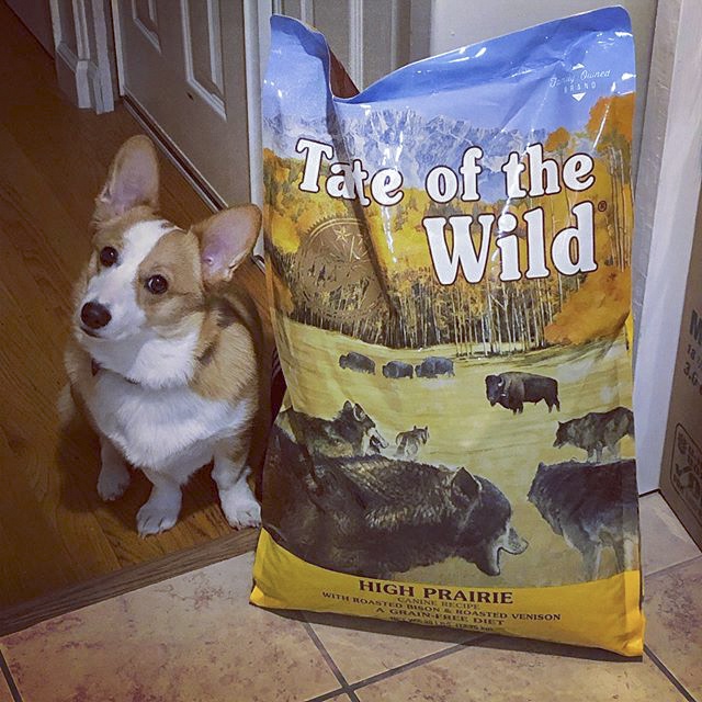 Thức Ăn Cho Chó Corgi Taste Of The Wild Bao 2kg -  High Praire Bò Rừng &amp; Nai Nướng, Trái Cây Rau Củ Quả