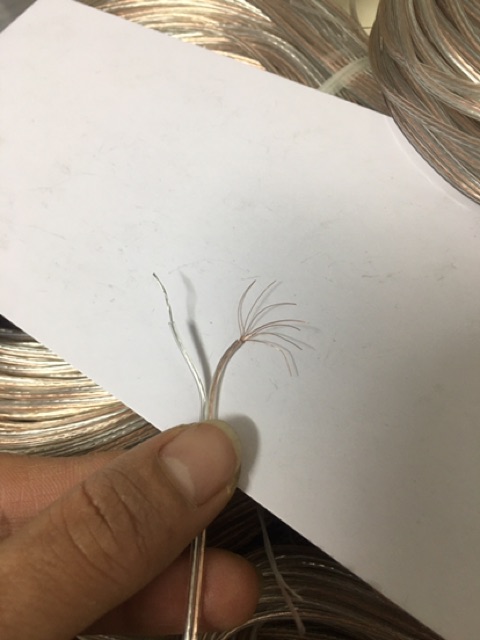 10M DÂY ĐIÊN ĐÔI TRONG 0.25mm