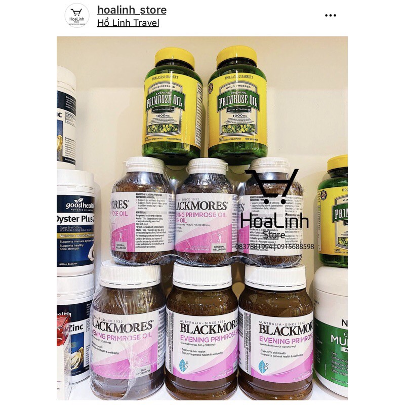 hoa anh thảo các loại - có phụ thu shopee