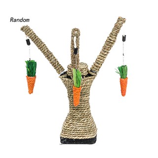 Đồ Chơi Cào Móng Hình Cây Cà Rốt Cho Mèo