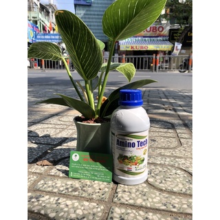 AMINO TECH- Phân bón lá sinh học công nghệ NANO tăng chất lượng và năng suất cây trồng chai 500ml
