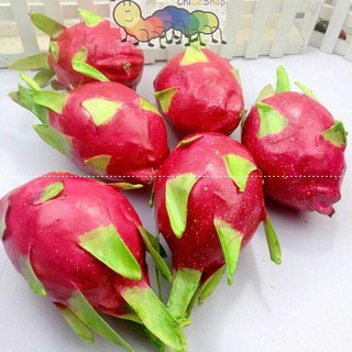 Quả thăng long nhựa giống thật - Dạy trẻ mầm non nhận biết các loại hoa quả trái cây