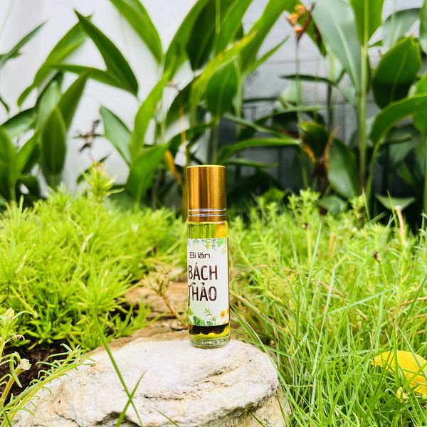 Chai Tinh Dầu Bi Lăn Bách Thảo Vina Tươi 10ml Dầu Lăn Thảo Dược Bạc Hà, Đinh Hương, Long Não