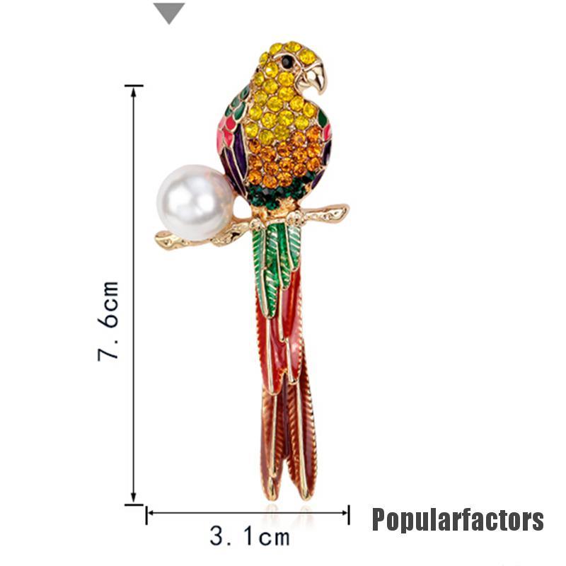 Ghim cài áo phối hình chú vẹt đính đá thời trang