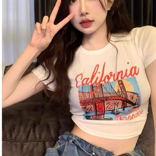 Áo croptop cannot mau240520 mới