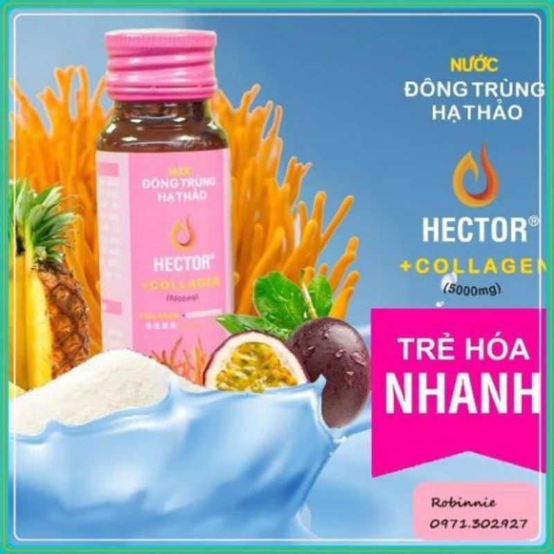 (CHÍNH HÃNG )HECTOR COLLAGEN đông trùng hạ thảo (Hộp 10 chai ) | BigBuy360 - bigbuy360.vn