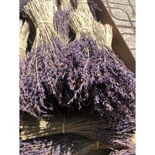 Hoa lavender khô 50 -100-200 cành