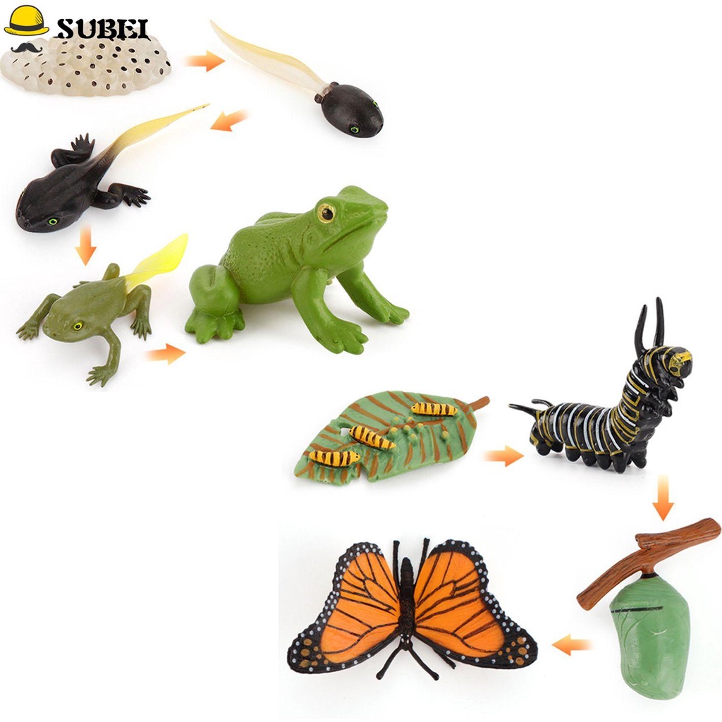Set 2 Mô Hình Vòng Đời Của Động Vật/Bọ Cánh Bướm/Chuồn Chuồn Dùng Làm Phụ Kiện Dạy Học Cho Bé Mẫu Giáo