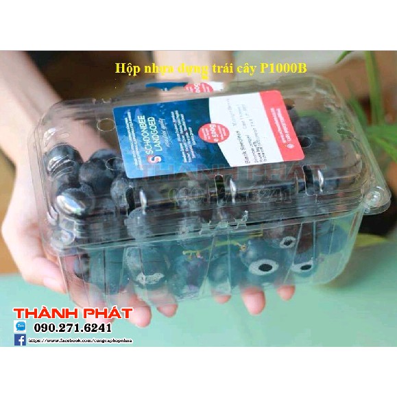 Hộp nhựa P1000B đựng trái cây, cherry, nho - Hộp đựng trái cây 1kg