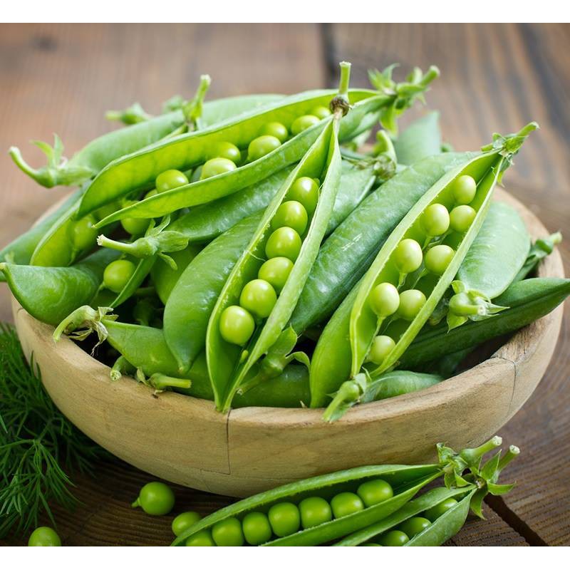 Hạt giống đậu Hà Lan xanh F1 chuyên ăn hạt