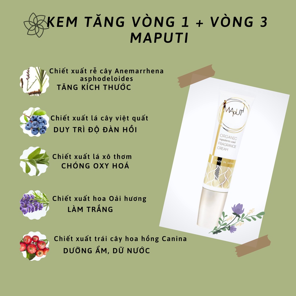 Kem tăng size ngực Maputi (Tăng 1-3 size) | BigBuy360 - bigbuy360.vn