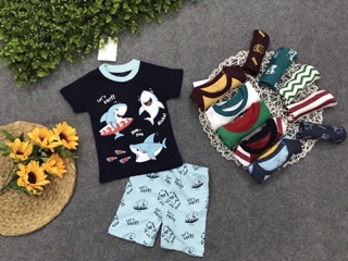 Set 4 bộ tay ngắn bé trai