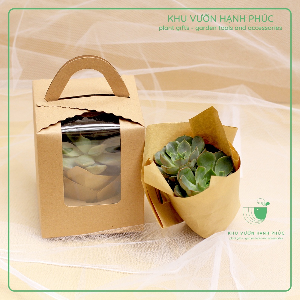 [Quà Tặng] - Cây Sen đá kèm hộp đựng xinh xắn - Khu vườn Hạnh Phúc