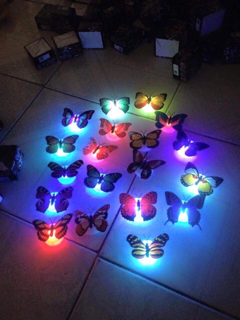 Combo 10 con bướm dạ quang 170k