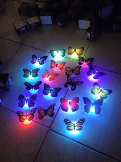 Combo 10 con bướm dạ quang 170k