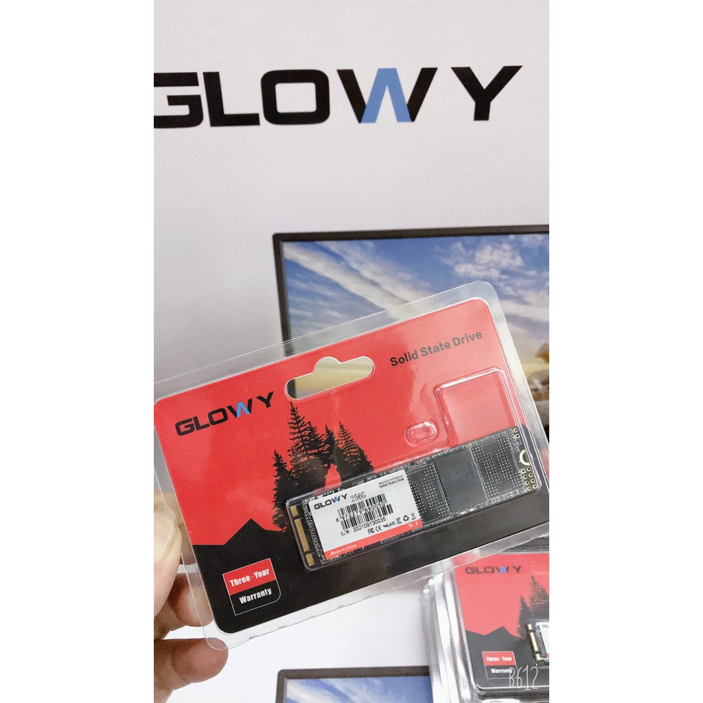 Ổ cứng SSD M2 Gloway 256GB (Sata3.0) – CHÍNH HÃNG – Bảo hành 3 năm !!! | BigBuy360 - bigbuy360.vn