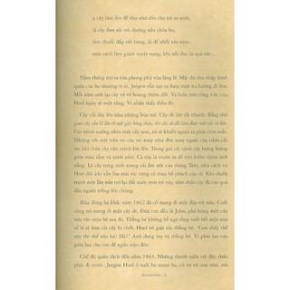 Sách - Vòm Rừng (Tiểu thuyết đoạt giải Pulitzer 2019)