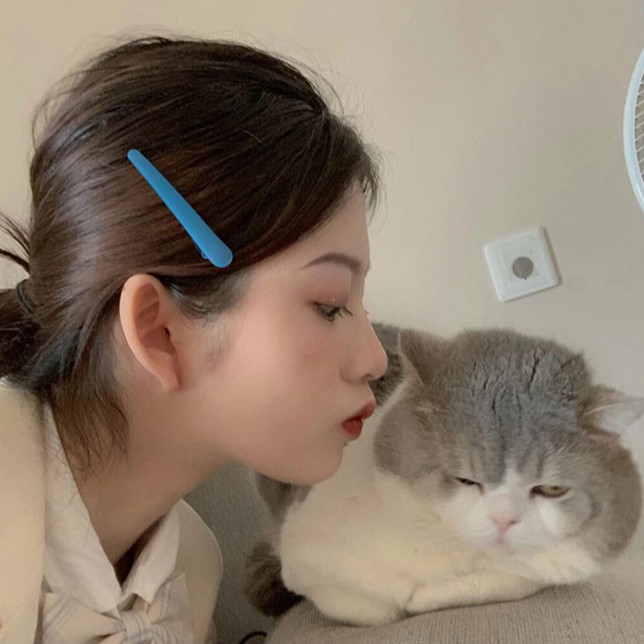 1 Kẹp Tóc Nhựa Màu Trơn Phong Cách Hàn Quốc Cho Nữ (Hairclips)