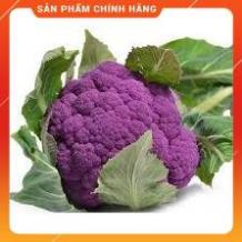 HẠT GIỐNG SUP LƠ TÍM GÓI 5H