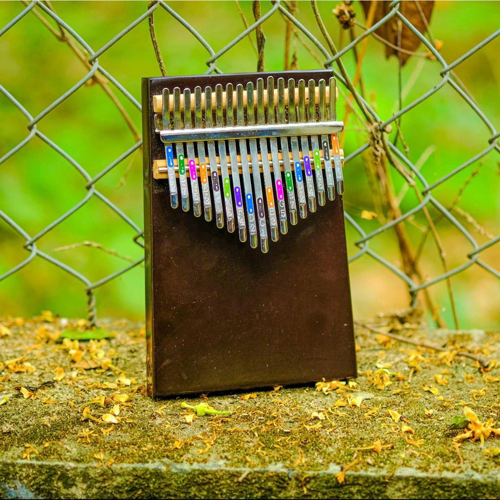 Đàn kalimba 17 phím Anca chính hãng, kalimba 17 phím nguyên khối tặng dán phím sắc màu, full phụ kiện