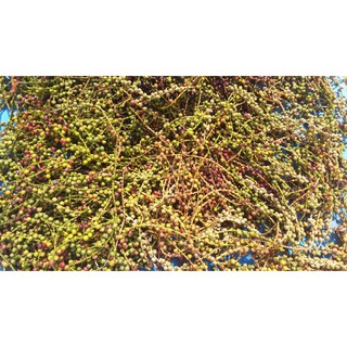 trái đủng đỉnh khô 1kg