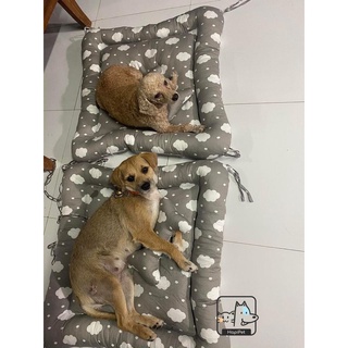 Đệm Thú Cưng Hapipet - Hình Vuông