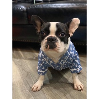 SƠ MI LV x SUPREME DÀNH CHO CHÓ MÈO [QUẦN ÁO THÚ CƯNG]