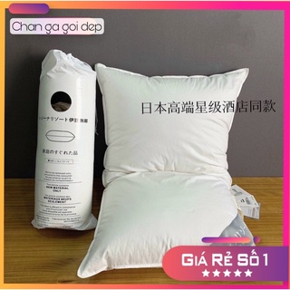 Ruột gối lông vũ kháng khuẩn, ruột gối nhập khẩu cao cấp