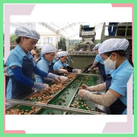 [Free Ship Hàng Siêu Thị] Hạt Điều Nguyên Lụa Rang Muối Ngon, Hạt Điều Bình Phước Chuẩn | BigBuy360 - bigbuy360.vn