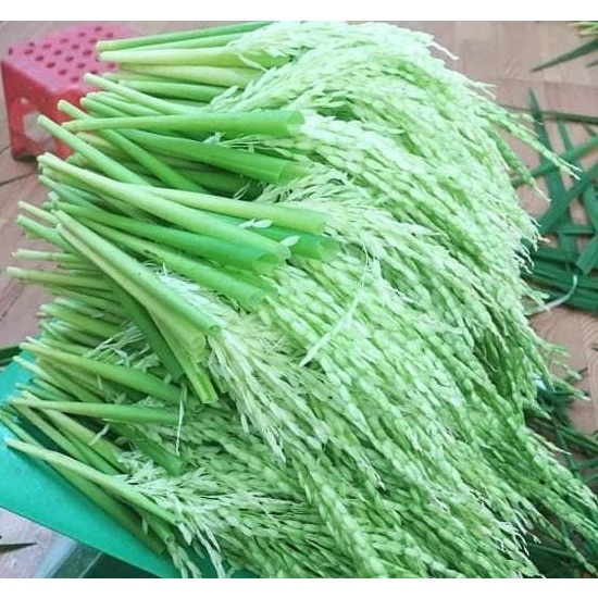 ĐÒNG ĐÒNG LÚA NON - ĐẶC SẢN TÂY BẮC