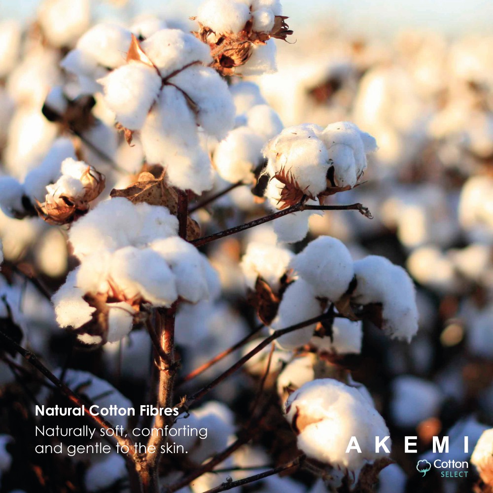 Bộ Ga kèm Vỏ Chăn AKEMI Cotton Select Adore73TC- Elowen (Queen), 6 món