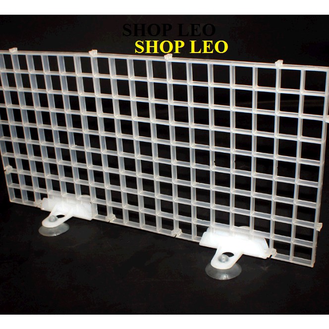 CHÂN HÍT GIỮ VÁCH NGĂN BỂ CÁ - HÍT KẸP VÁCH NGĂN BỂ