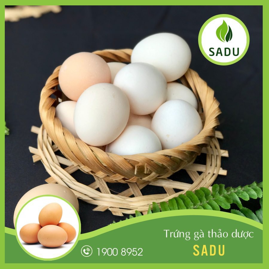 Trứng Gà Sadu - [CHÍNH HÃNG] - Thơm ngon bổ dưỡng | BigBuy360 - bigbuy360.vn