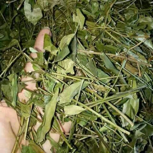 Chè vằng sẻ lợi sữa 1kg